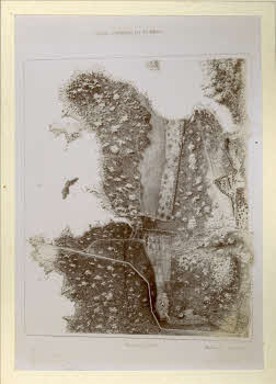 AV_L_Albo_Caprera_0067