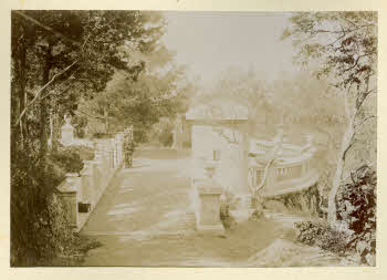 AV_L_Albo_Caprera_0080