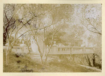 AV_L_Albo_Caprera_0082