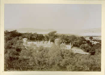 AV_L_Albo_Caprera_0085