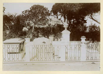 AV_L_Albo_Caprera_0086