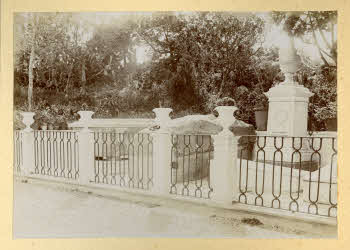 AV_L_Albo_Caprera_0087