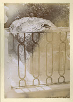 AV_L_Albo_Caprera_0091