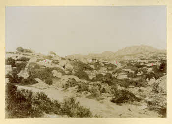 AV_L_Albo_Caprera_0093