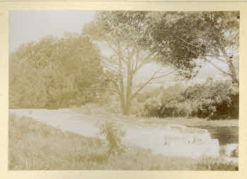 AV_L_Albo_Caprera_0095