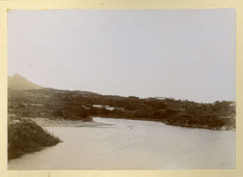 AV_L_Albo_Caprera_0098