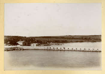 AV_L_Albo_Caprera_0099