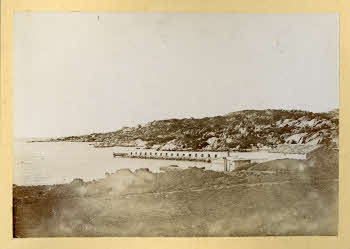 AV_L_Albo_Caprera_0100