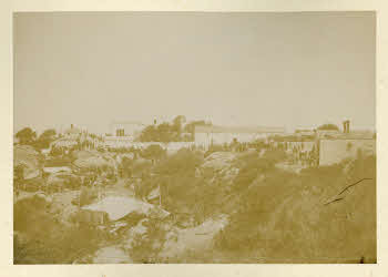 AV_L_Albo_Caprera_0103