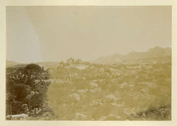 AV_L_Albo_Caprera_0104