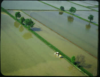 BUGA_Lomb04_160-95-a