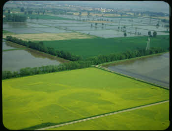 BUGA_Lomb04_161-95-a