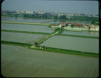 BUGA_Lomb04_162-95-a