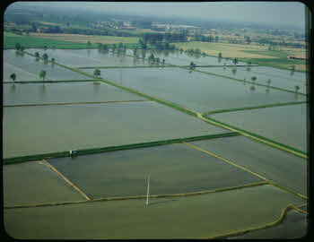 BUGA_Lomb04_163-95-a