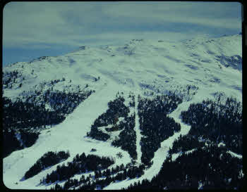 BUGA_Lomb05_63-10-95