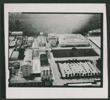 BUGA_Lomb07_197-86-a