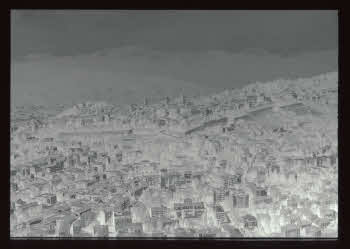 BUGA_Lomb08_55-91_neg