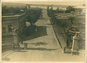 VE_Albo_Africa_Aviaz_Cirenaica_001