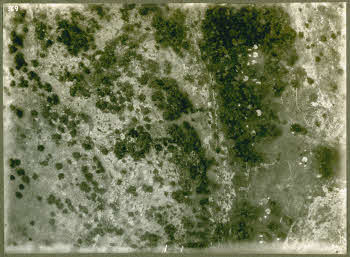 VE_Albo_Africa_Aviaz_Cirenaica_042