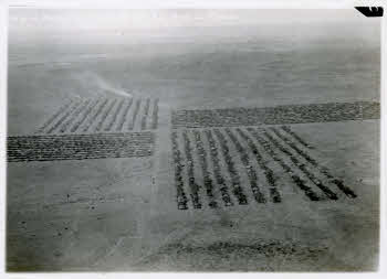 VE_Albo_Africa_Aviaz_Cirenaica_048