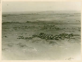 VE_Albo_Africa_Aviaz_Cirenaica_052