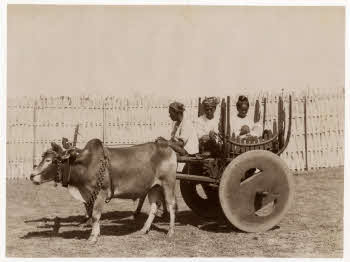 VE_ALBO_BEATO_BURMA-09