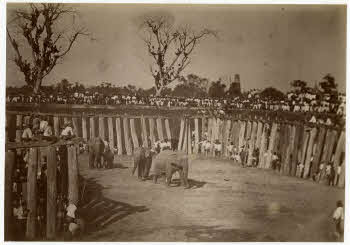 VE_ALBO_BEATO_BURMA-14