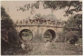 VE_ALBO_CANDEO_1-104