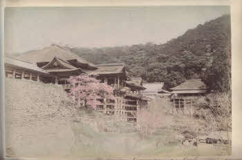 VE_ALBO_CANDEO_1-113