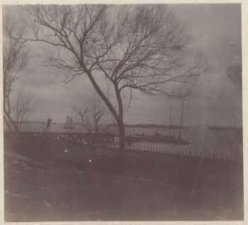 VE_ALBO_CANDEO_2-102