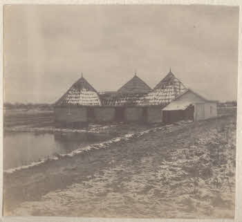 VE_ALBO_CANDEO_2-113