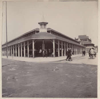 VE_ALBO_CANDEO_2-124