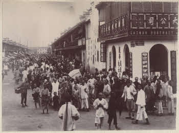 VE_ALBO_CANDEO_2-126