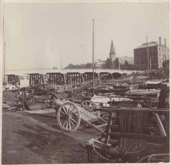 VE_ALBO_CANDEO_2-139