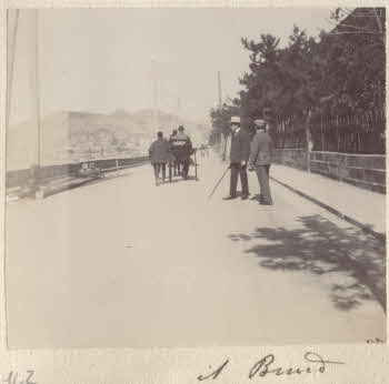 VE_ALBO_CANDEO_2-142