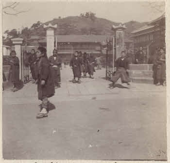 VE_ALBO_CANDEO_2-143