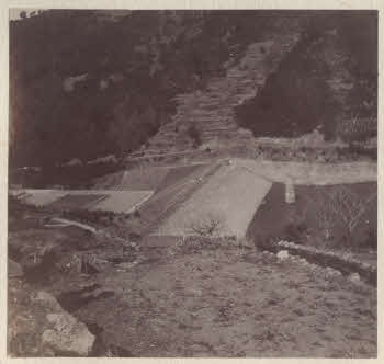 VE_ALBO_CANDEO_2-147