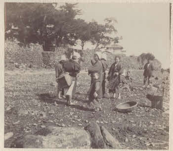 VE_ALBO_CANDEO_2-150