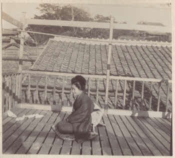 VE_ALBO_CANDEO_2-153