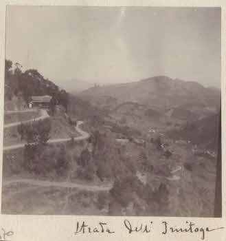 VE_ALBO_CANDEO_2-170