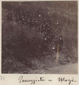 VE_ALBO_CANDEO_2-171