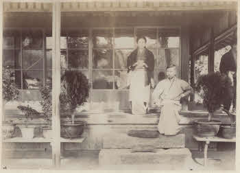 VE_ALBO_CANDEO_2-176