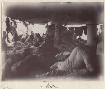 VE_ALBO_CANDEO_2-196