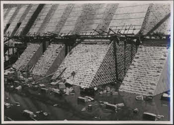 VE_ALBO_DIGA_ASSUAN_11