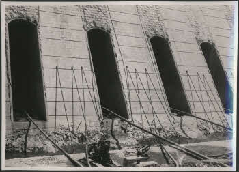 VE_ALBO_DIGA_ASSUAN_17