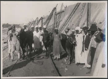 VE_ALBO_DIGA_ASSUAN_9