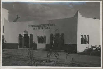 VE_ALBO_IV_FIERA_CAMPIONARIA_DI_TRIPOLI-15