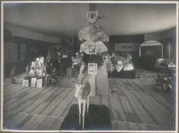 VE_ALBO_IV_FIERA_CAMPIONARIA_DI_TRIPOLI-37