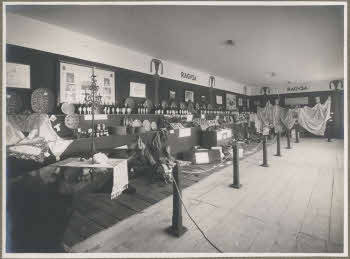 VE_ALBO_IV_FIERA_CAMPIONARIA_DI_TRIPOLI-69