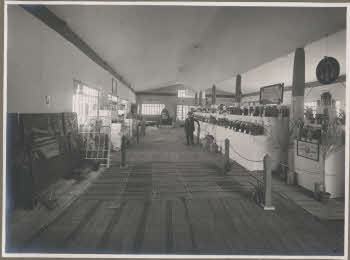 VE_ALBO_IV_FIERA_CAMPIONARIA_DI_TRIPOLI-70